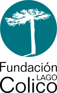 Fundación Lago Colico