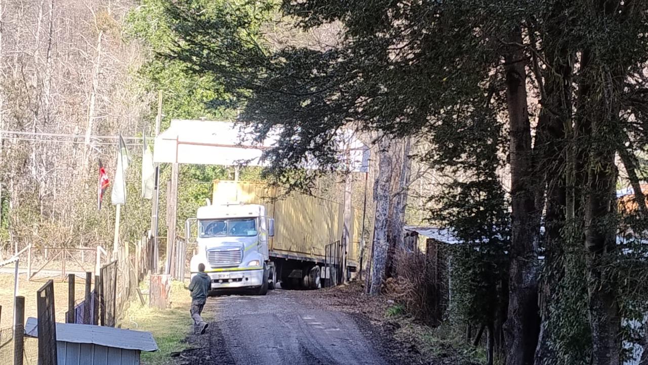 El contenedor entre los árboles del sector.